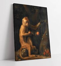 George stubbs monkey for sale  LONDONDERRY