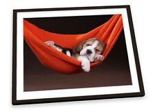 Cute beagle puppy for sale  UK