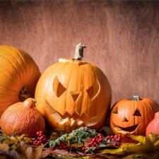 Graines courge halloween d'occasion  Sabres