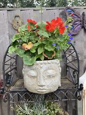 buddha plant pot with plants large for sale  DUNSTABLE