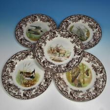 Spode woodland hawk for sale  Auburn