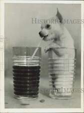 1944 press photo for sale  Memphis