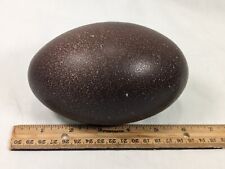 Blown emu egg for sale  Fort Collins