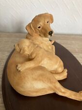 Teviotdale labrador pup for sale  BASILDON