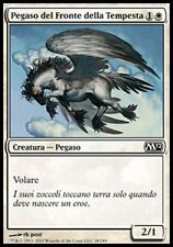 Magic pegaso del usato  Seregno