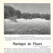 Flower wedding 1904 d'occasion  Expédié en Belgium