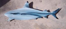 Blacktip reef shark for sale  Fort Pierce