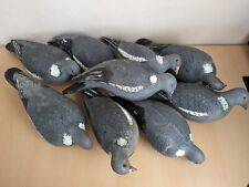 Pigeon decoys full for sale  NORWICH