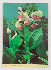 Minnesota's Official State Flower The Lady Slipper Postcard Cypripedium Reginae for sale  Shipping to South Africa
