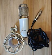 Bm800 condenser microphone for sale  FARNHAM