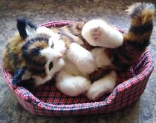 Realistic playful kitten for sale  BUXTON