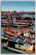 Postcard mississippi colorful for sale  Norman