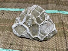 Septaria nodulo pietra usato  San Cipriano Po