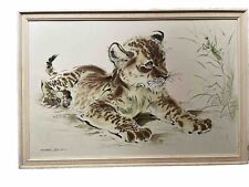 Lion cub print for sale  NORWICH