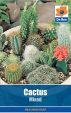 Packet cactus mixed for sale  UK