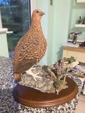 grouse bird for sale  READING