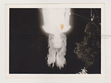 Attractive Young Woman Hanging Upside Down from Tree Hair Flowing Unusual Photo for sale  Shipping to South Africa