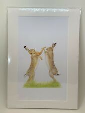Boxing hares drawing for sale  BRIDGNORTH