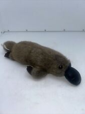 Platypus koala family for sale  Hildebran