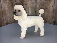Leonardo white poodle for sale  STOKE-ON-TRENT