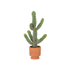 Cactus finto con usato  Italia