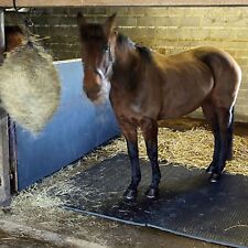 Stable wall mat for sale  CREDITON