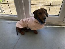 Doghouse miniature dachshund for sale  GUILDFORD