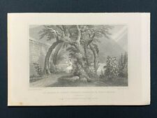 1829 engraving edinburgh for sale  CARRICKFERGUS