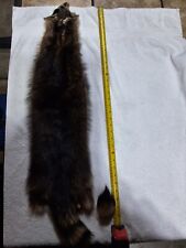 Raccoon pelt hide for sale  Mccordsville