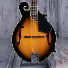 Gold tone mandolin for sale  Tampa