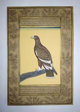 Broad winged hawk for sale  Shipping to Canada