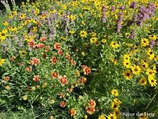 Southeast wildflower pollinato for sale  Manor