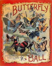 Butterfly ball child for sale  Columbia