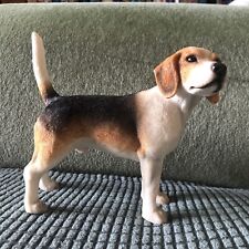 Leonardo beagle for sale  SHEERNESS
