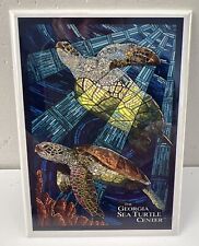 Georgia sea turtle for sale  Avon