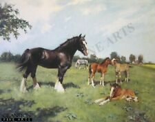 Horse equestrian art for sale  HELENSBURGH