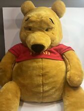 Disney winnie pooh for sale  Pine River