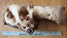 Drift wood root for sale  Poughkeepsie