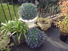 Ornamental flower spheres for sale  LONDON