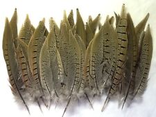 Natvie American Pheasant Tail Feathers for Crafts & Decorations, used for sale  Shipping to South Africa