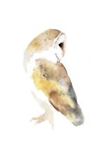 Barn owl original for sale  THORNTON-CLEVELEYS