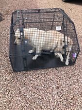 Guardsman dog crate for sale  WORCESTER