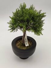 Künstlicher bonsai baum gebraucht kaufen  Ehringshausen