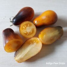 Tomate indigo pear gebraucht kaufen  Mettenheim