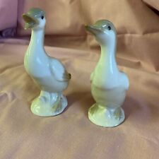 Pair capilano geese for sale  CORSHAM