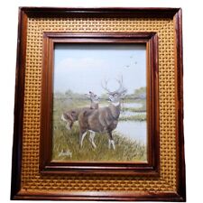 White tail deer for sale  Springtown
