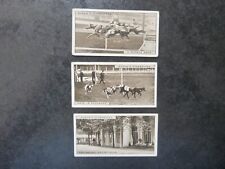 OGDEN'S - CARRERAS DE GALGOS, 1ª SERIE - 1928 segunda mano  Embacar hacia Argentina