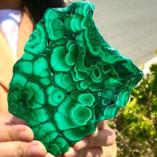 440G Natural glossy Malachite transparent cluster rough mineral sample N268, used for sale  Shipping to Canada