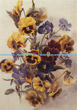 D062377 pansies. private usato  Spedire a Italy