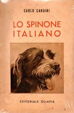 Spinone italiano carlo usato  Italia